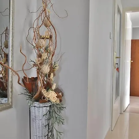 Ruzica Apartmán
